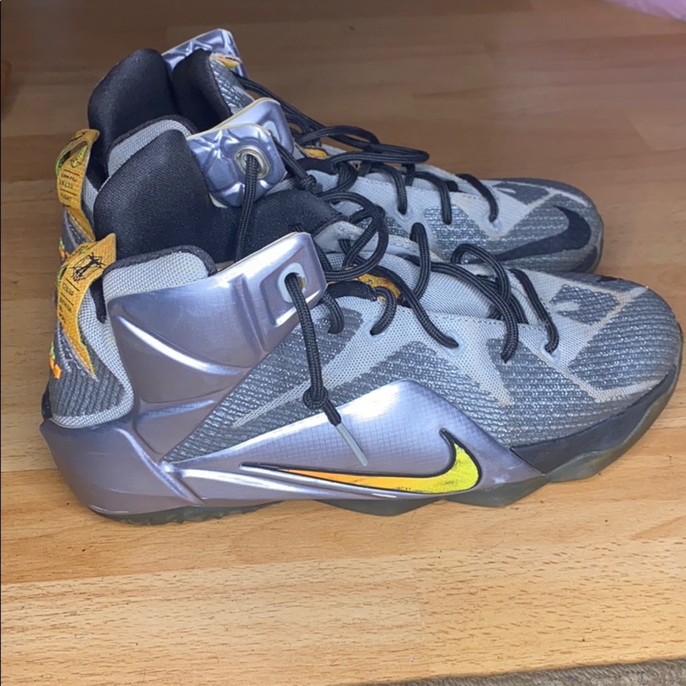 LeBron 12 “Flight”